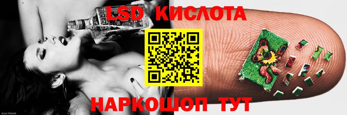 МЕФ Краснодар