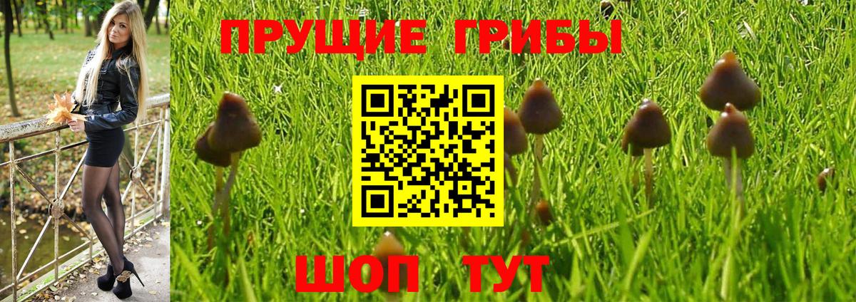 Краснодар  Галлюциногенные грибы Magic Shrooms  Вход с VPN 